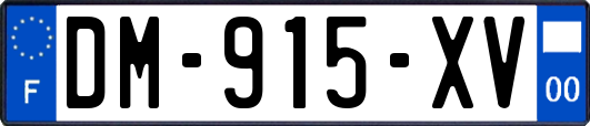 DM-915-XV