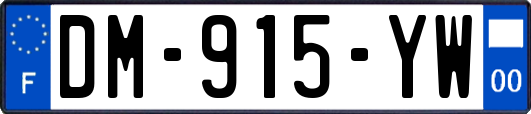 DM-915-YW