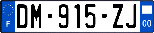 DM-915-ZJ