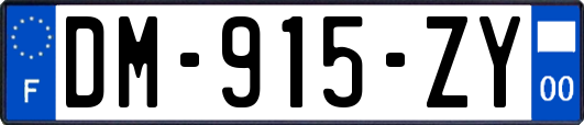 DM-915-ZY