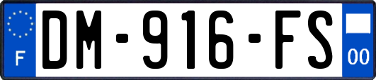 DM-916-FS