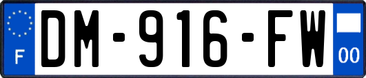DM-916-FW
