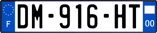 DM-916-HT