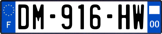 DM-916-HW