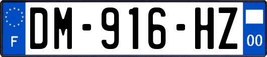 DM-916-HZ