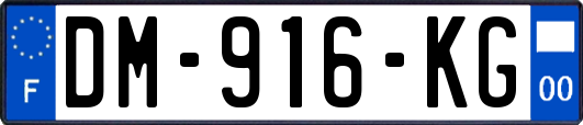 DM-916-KG