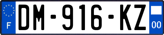 DM-916-KZ