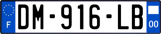 DM-916-LB