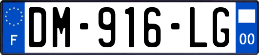 DM-916-LG