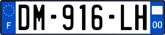 DM-916-LH