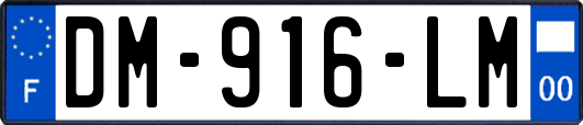 DM-916-LM