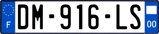 DM-916-LS