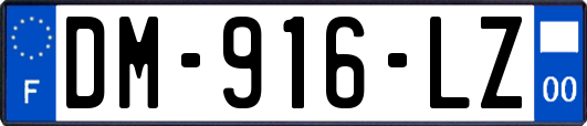 DM-916-LZ