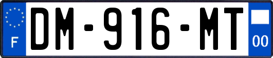 DM-916-MT