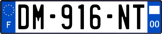 DM-916-NT