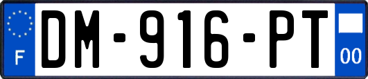 DM-916-PT