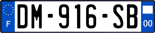 DM-916-SB