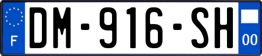 DM-916-SH