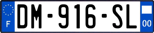 DM-916-SL