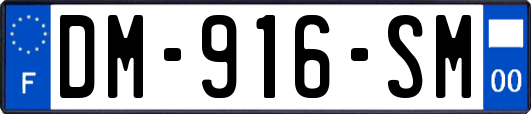 DM-916-SM