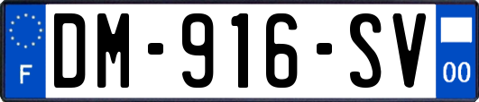 DM-916-SV