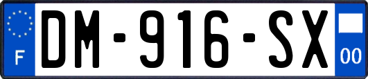 DM-916-SX