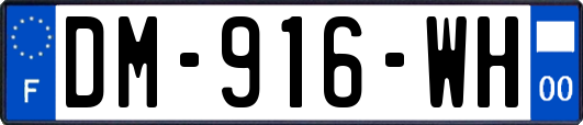 DM-916-WH