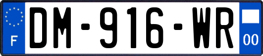 DM-916-WR