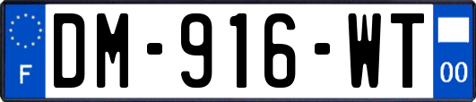 DM-916-WT