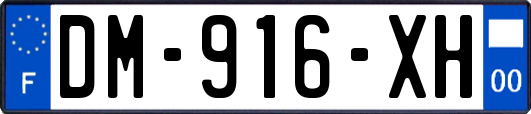 DM-916-XH