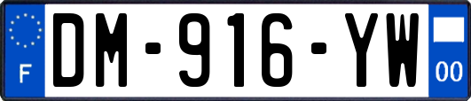 DM-916-YW