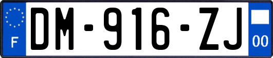 DM-916-ZJ