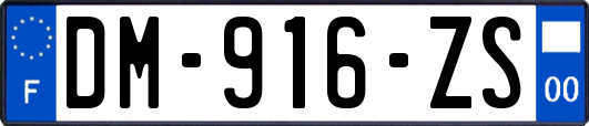 DM-916-ZS