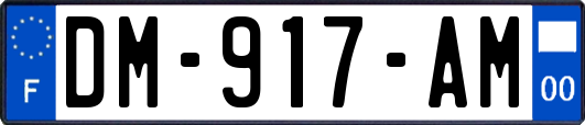 DM-917-AM