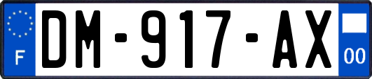 DM-917-AX