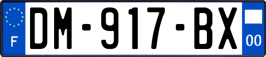 DM-917-BX