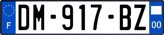 DM-917-BZ