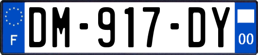 DM-917-DY