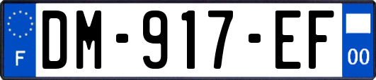 DM-917-EF
