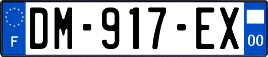 DM-917-EX