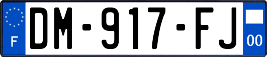 DM-917-FJ