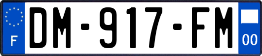 DM-917-FM