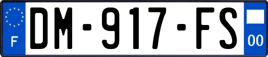 DM-917-FS