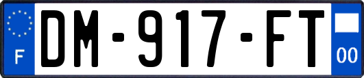 DM-917-FT
