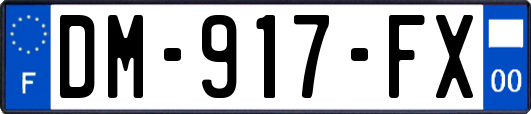 DM-917-FX