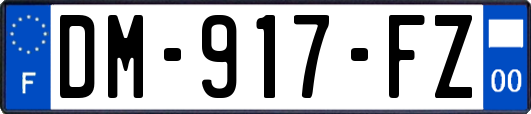 DM-917-FZ