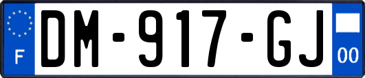 DM-917-GJ