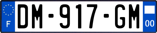 DM-917-GM