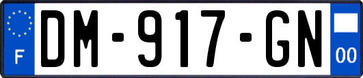 DM-917-GN