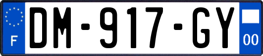 DM-917-GY